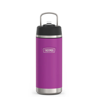 Thermos 18 ounce Stainless Steel Water Bottle with flip-up straw, front view with metal handle up, Plum Purple.