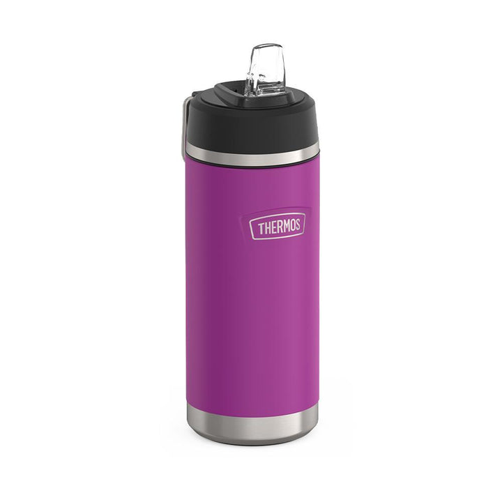 Thermos 18 ounce Stainless Steel Water Bottle with flip-up straw, side view with straw up and metal handle down, Plum Purple.
