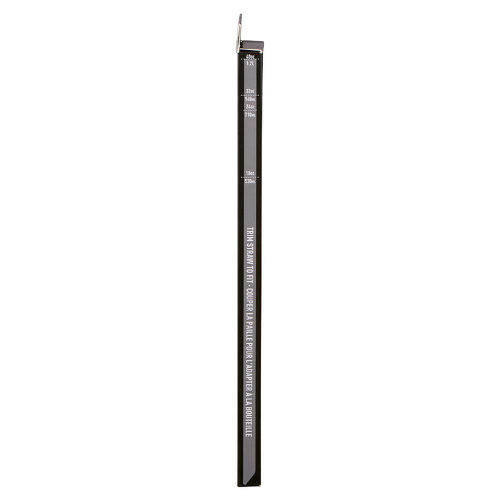 PLASTIC REPLACEMENT STRAWS - 4PK
