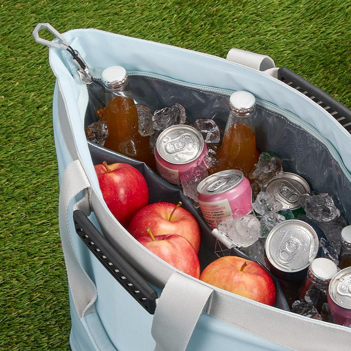 Thermos 30 can cooler tote bag