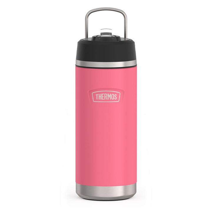 Thermos 18 ounce Stainless Steel Water Bottle with flip-up straw