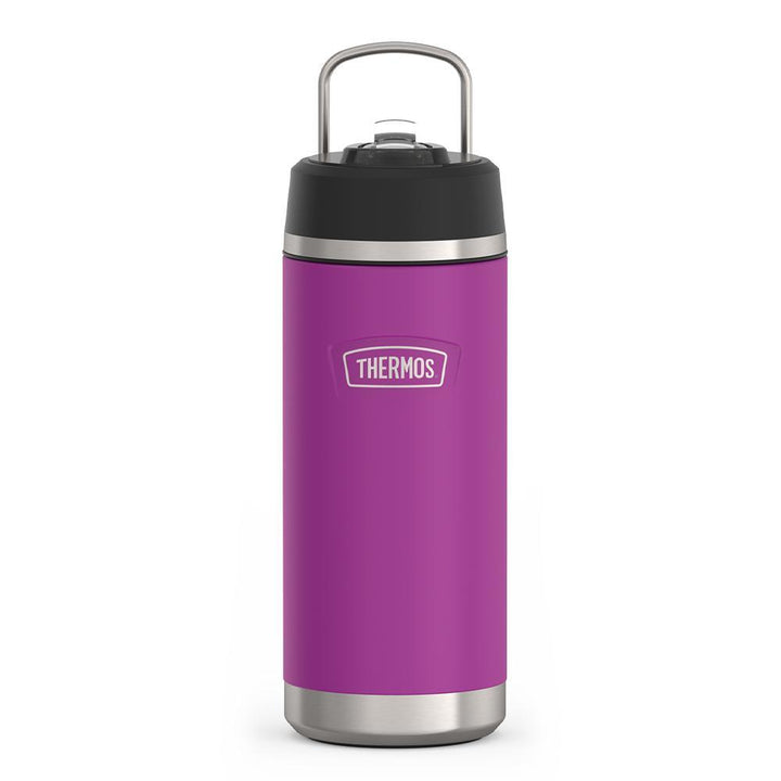 Thermos 18 ounce Stainless Steel Water Bottle with flip-up straw